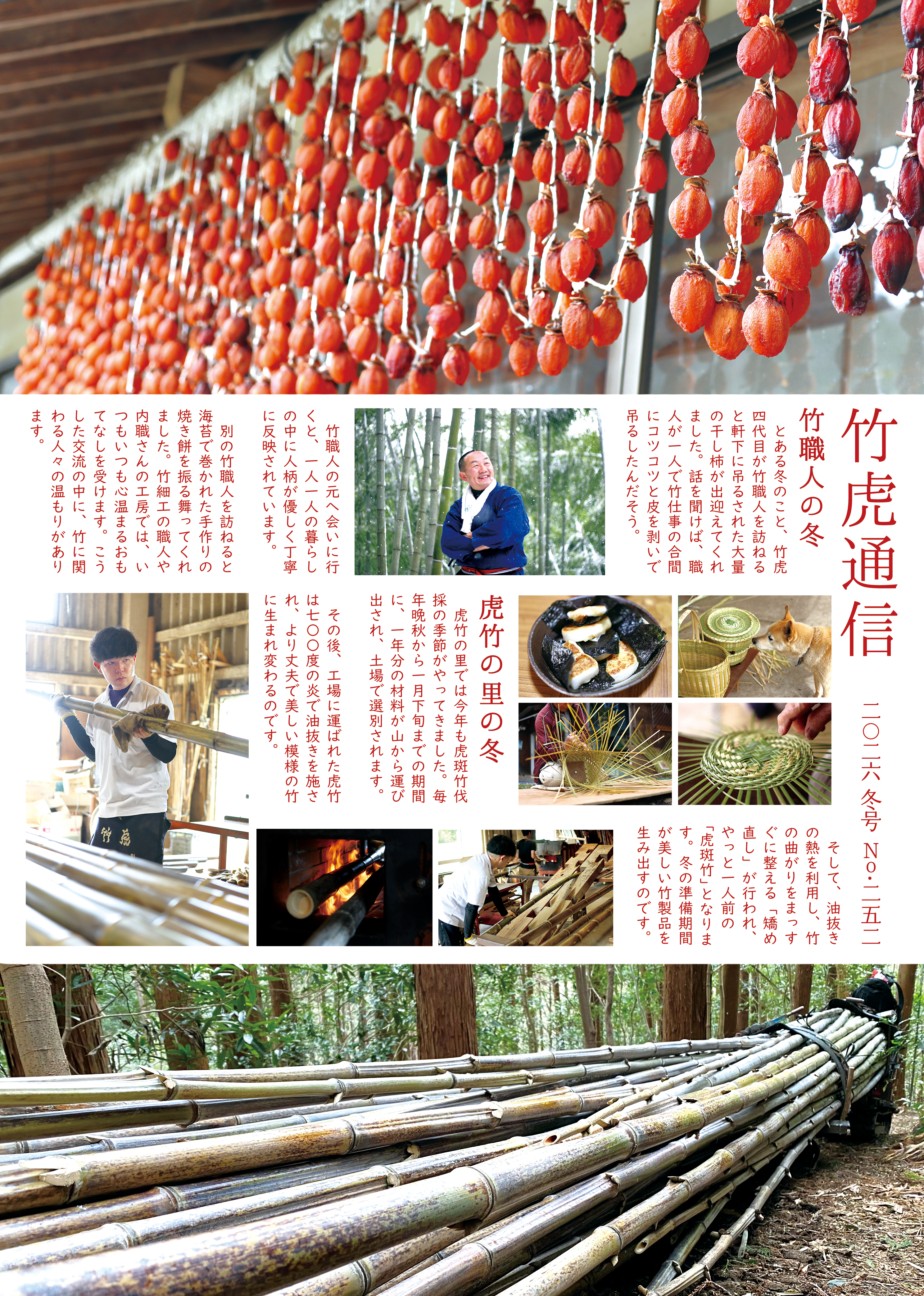 2026年冬号の竹虎通信