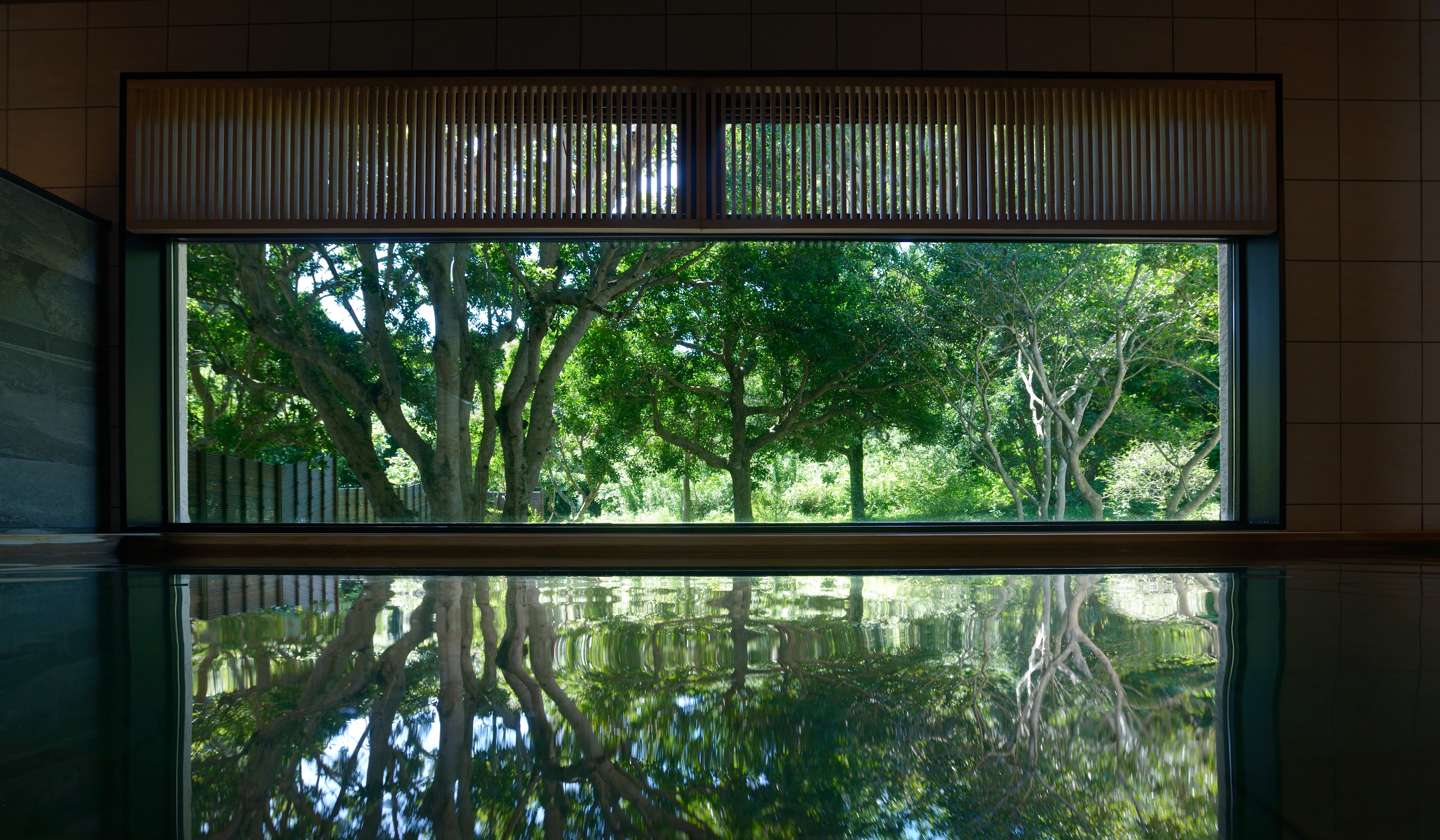 天然温泉「潮騒の湯」の大きな窓の向こうにはNEMU の森 　　