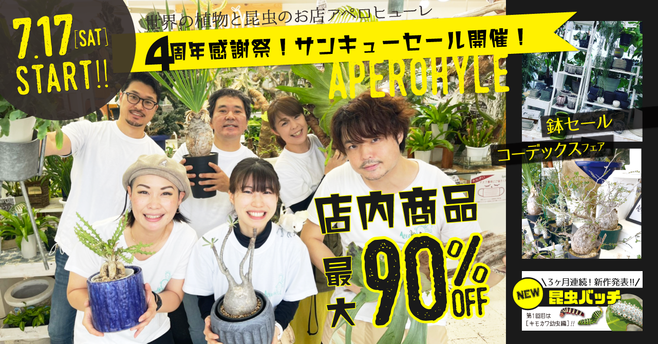 最大９０％ＯＦＦのサンキューセール！