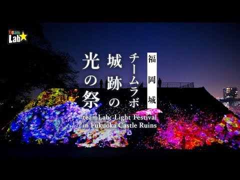 チームラボ 福岡城 チームラボ 城跡の光の祭 を開催 夜の舞鶴公園の福岡城跡を インタラクティブな光のデジタルアート空間に変える 会期は12 1 1 28 11 7より前売券発売 企業リリース 日刊工業新聞 電子版