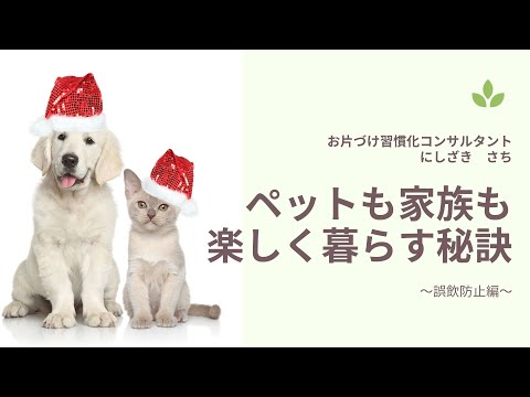 お片づけ習慣化コンサルタント　西崎彩智が動画で伝授！ペットも家族も楽しく暮らす秘訣「整理整頓編」「お掃除編」「誤飲防止編」　2020年12月15日から順次YouTube配信スタート　　　　　　　　　　