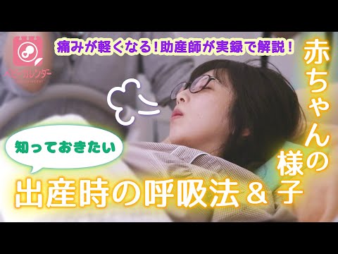 緊急特集 190万視聴のリアルな出産動画を助産師が解説 立ち会いなしでも怖くない 痛みがグンと軽くなる出産時の呼吸法 赤ちゃんの様子を収めた動画を作成 Oricon News