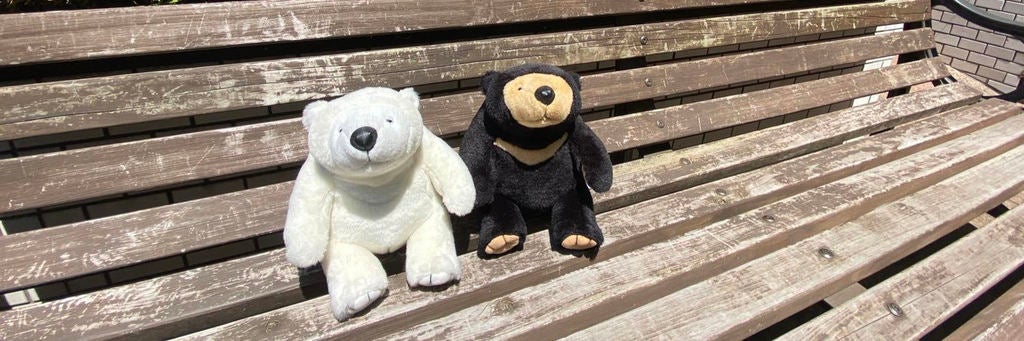 モンスイユ　モンブラン　クマ　ぬいぐるみ 大人気だったクマのぬいぐるみ「モンブラン」が復活販売！3つのサイズ