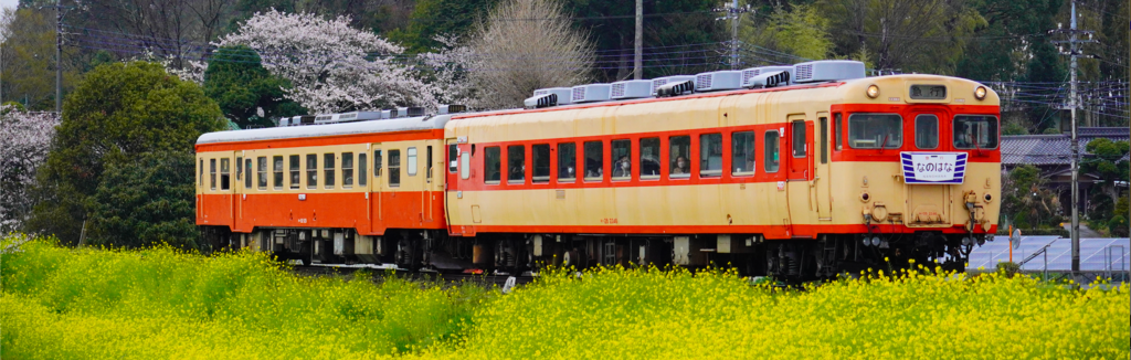 行先サボ　大原－大多喜　いすみ鉄道 行先サボ 大原－大多喜 いすみ鉄道 行き先サボ | いすみ鉄道オンライン