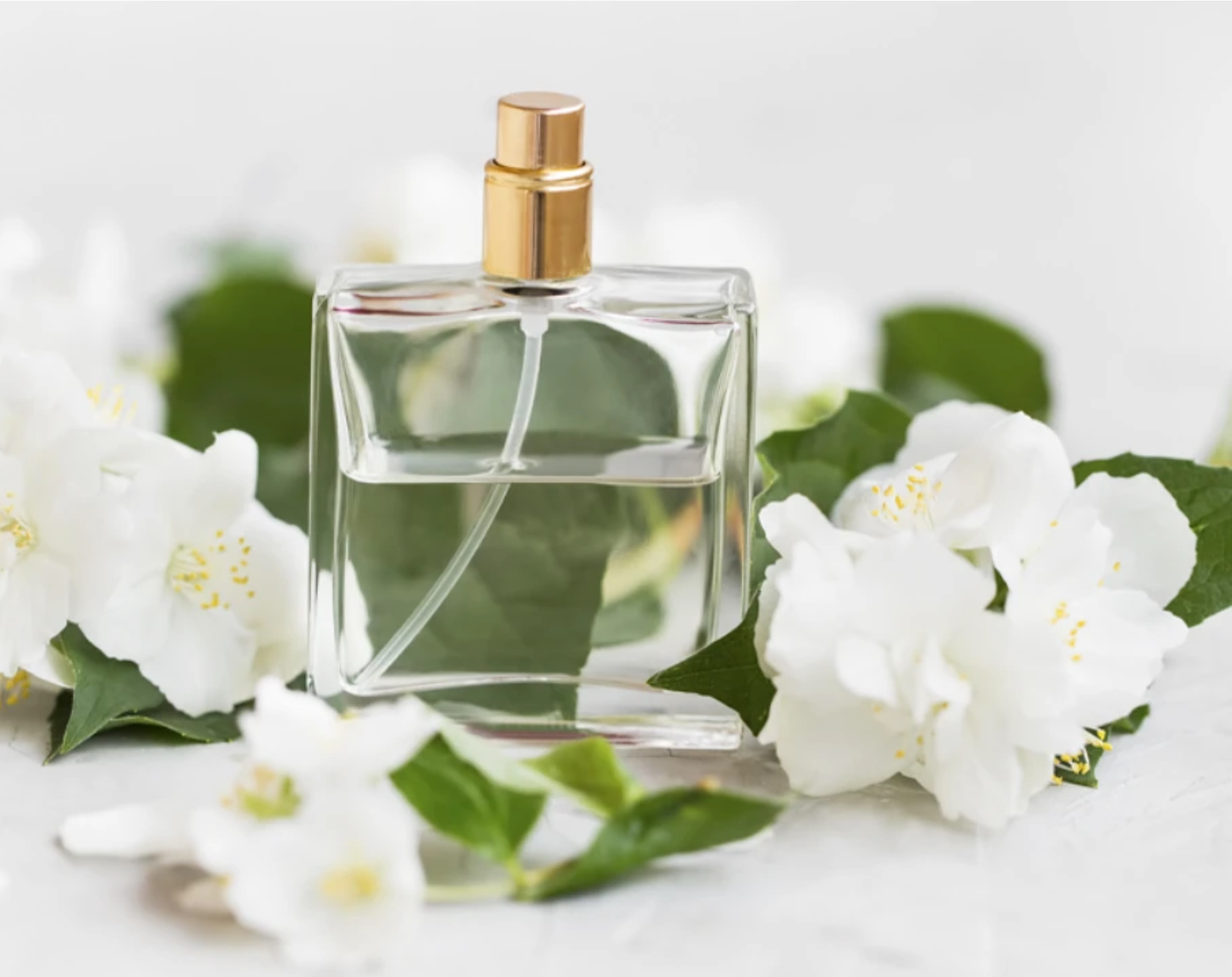 Lavender Magnolia Perfume