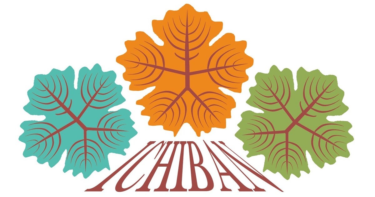 若返りの研究チームが開発したマルチオイルセラムが新登場！100% 自然