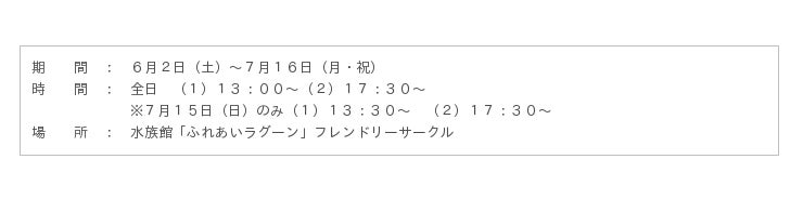 横浜 八景島シーパラダイス 絶対に負けられない戦いが始まる ペンギンサッカー大会開幕 ６月２日 土 ７月１６日 月 祝 企業リリース 日刊工業新聞 電子版