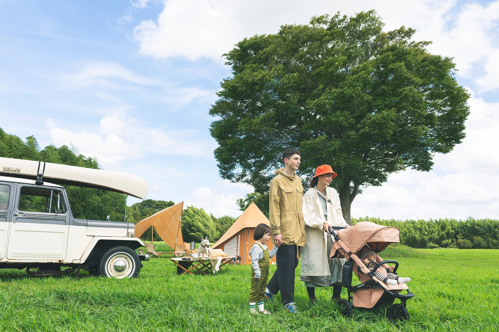 AIRBUGGY PET(エアバギーペット)、超大型犬向けペットカート AIRBUGGY PET(エアバギーペット)、超大型犬向けペットカート