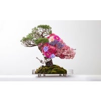 盆栽の概念を再構築する盆栽クリエイティブブランド