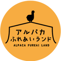 時間を気にせずアルパカとふれあいができる♪神楽坂の『アルパカ