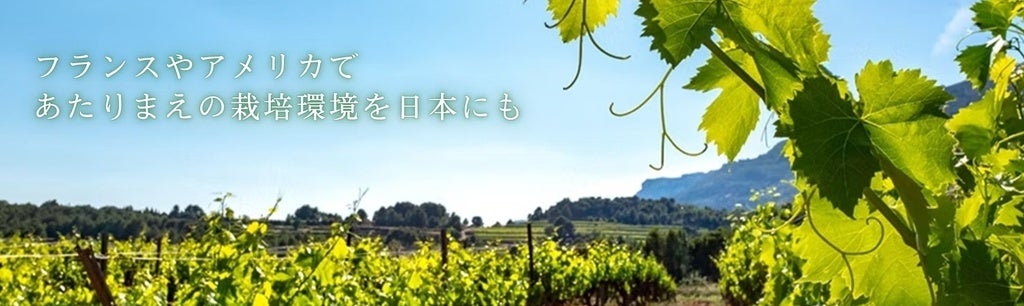 日本ワインブドウ栽培協会（JVA）のプレスリリース｜PR TIMES