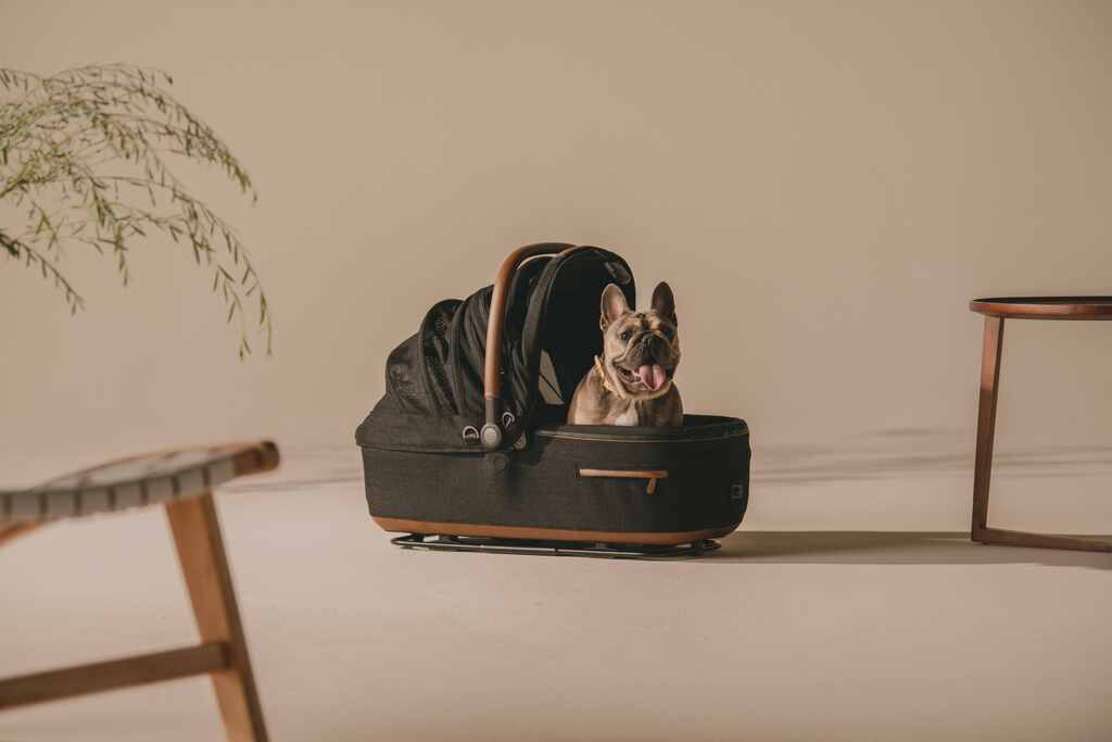 ⽇本初*チャイルドシートの安全基準「ECE R129」準拠のペット⽤カー