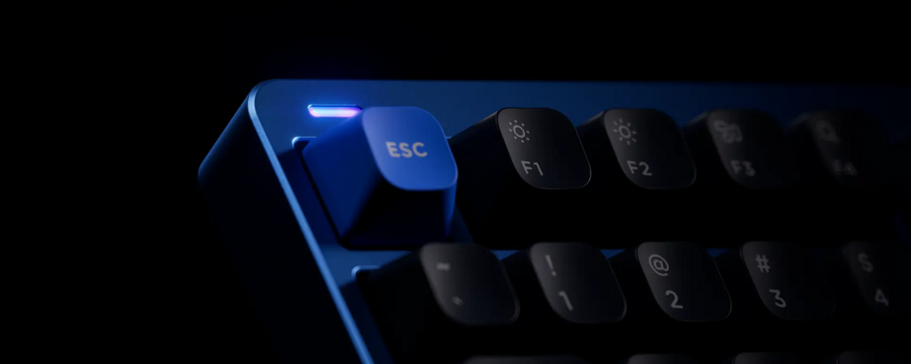 Keyreative × Kapowazの共同プロジェクト第2弾「KAP White on Black