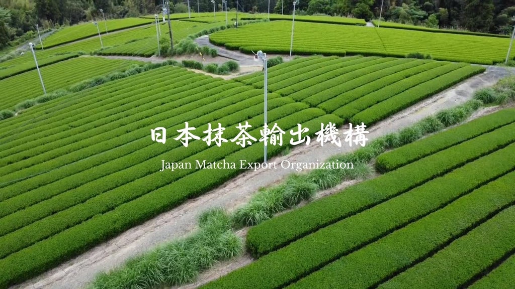 本日5/7開幕】日本抹茶輸出機構（JMEX）、マレーシア最大級カフェ