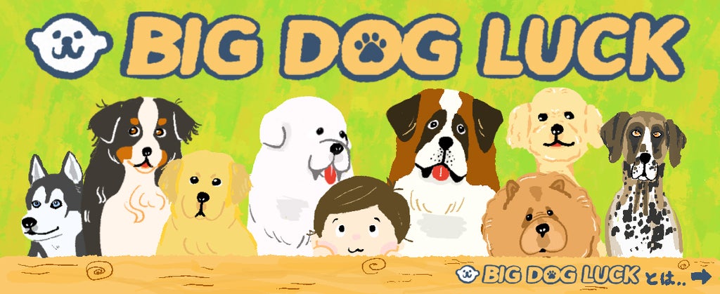 株式会社どえらザウルスが、大型犬専門メディア「BIG DOG LUCK」の運営