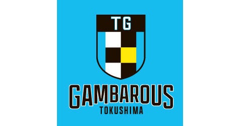 徳島ガンバロウズチケット引換券➕ステッカー 徳島ガンバロウズ