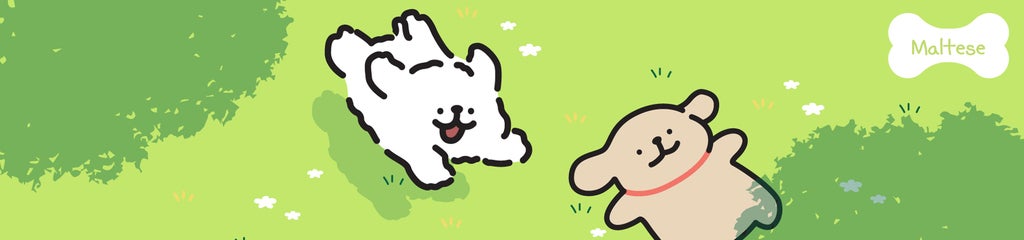 日本初開催！「モルチーズ」ポップアップストア in ロフト | 株式会社U