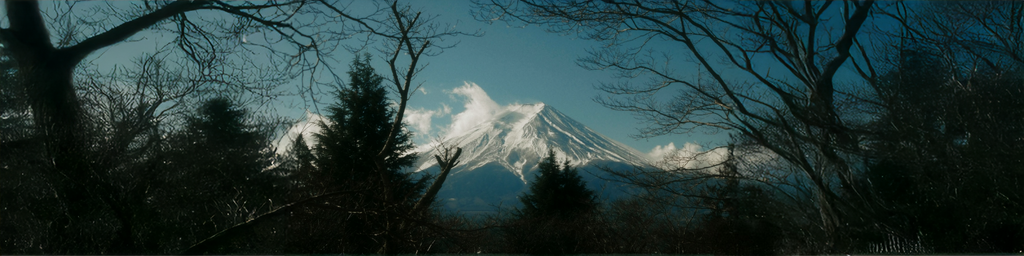 Ibex Japanのプレスリリース｜PR TIMES