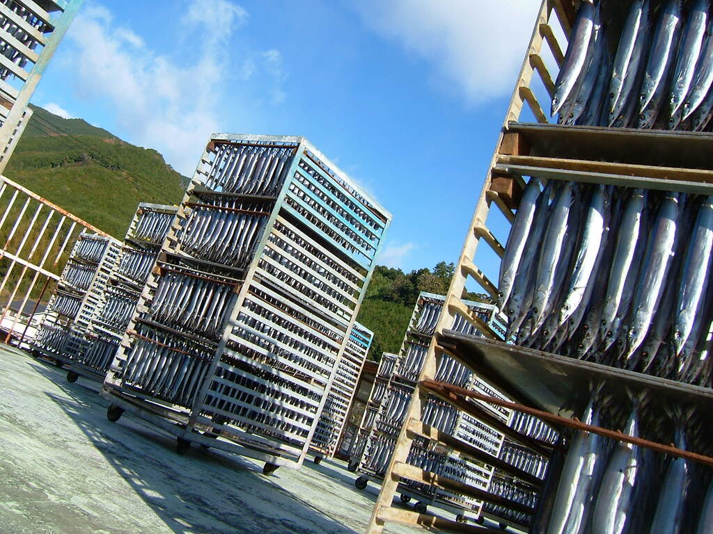 有限会社 魚作商店のプレスリリース｜PR TIMES