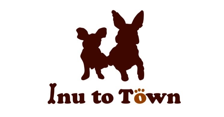 セレブ愛犬家が待ち望んだ愛犬のための最高級ベッド＆バッグ、ついに