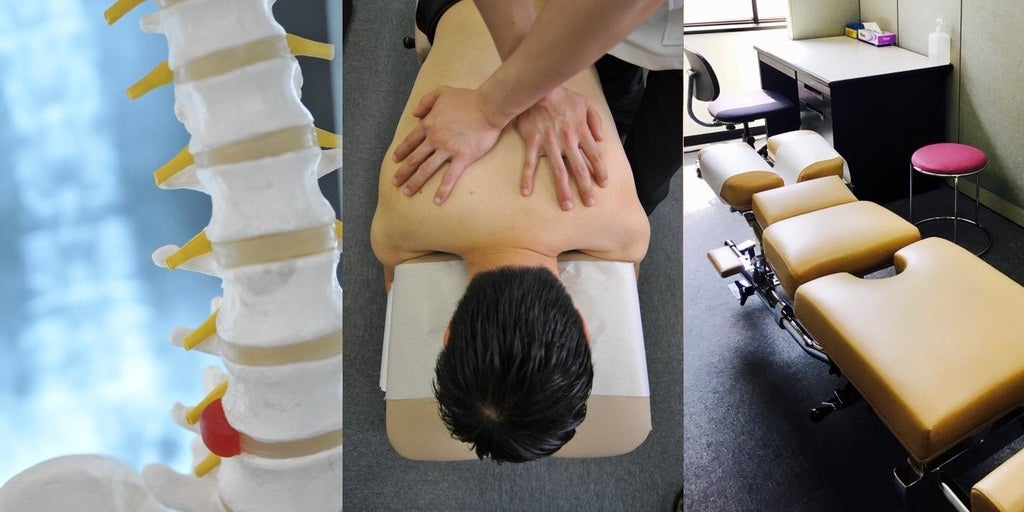 臨床カイロプラクティックプログラム 第2期募集のお知らせ | 一般社団