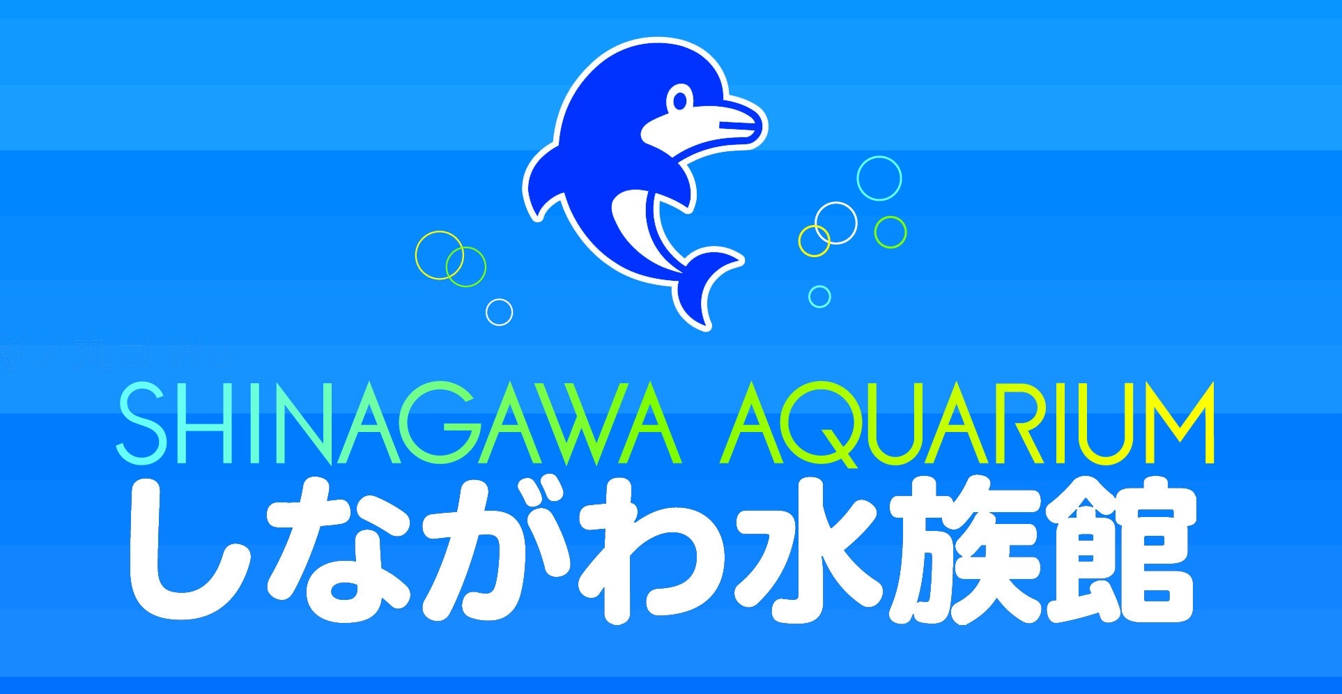 しながわ水族館のキュートな仲間！2019.6.20生まれバンドウイルカの