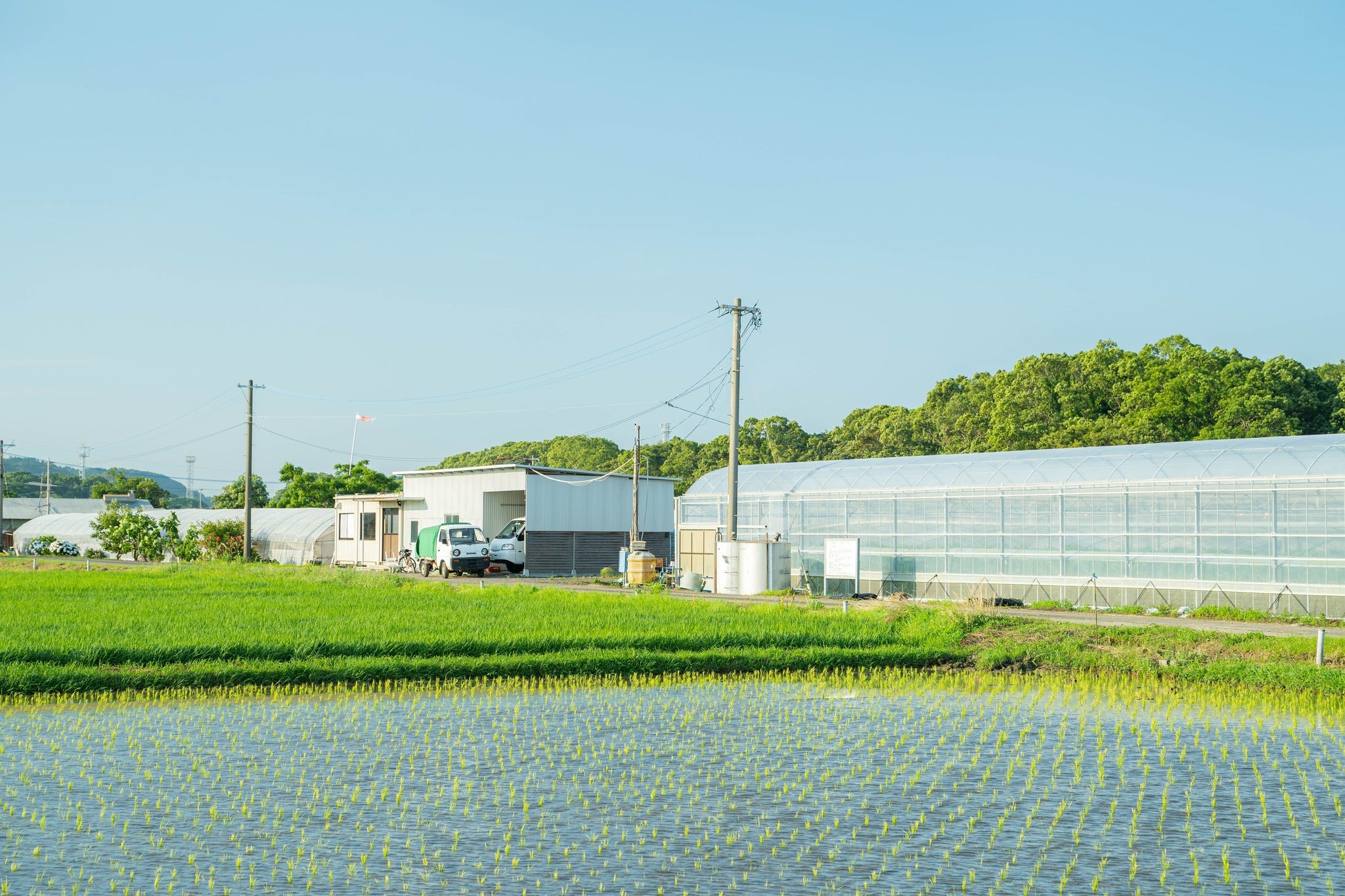AGRIST、中小企業庁推進の地域課題解決事業に挑む「ゼブラ宣言 AGRIST、中小企業庁推進の地域課題解決事業に挑む「ゼブラ宣言
