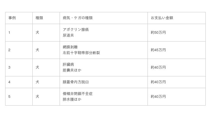 21年11月度 高額保険金お支払い事例 犬の膝蓋骨内方脱臼に41万8 800円 ペット保険 Ps保険 調べ 時事ドットコム