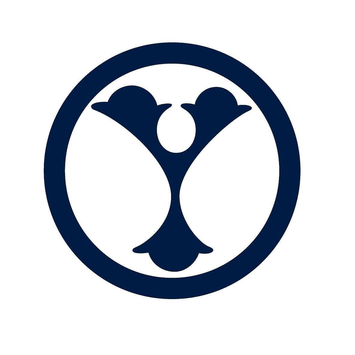 auctus-advisors-private-limited-ycp-holdings