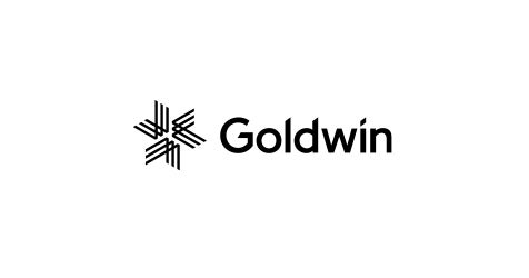 良好クリーニング処理済み GoldWin ゴールドウイン jr.ワンピース 26 GOLDWIN ゴールドウイン GS Suit (For FIS) G25700 IW レーシング