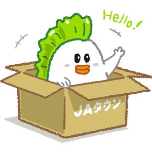 根本凪さんが全国の産地を訪問するYouTube番組「根本凪のお名刺交換させてください！」の配信が１２月２２日よりスタート！