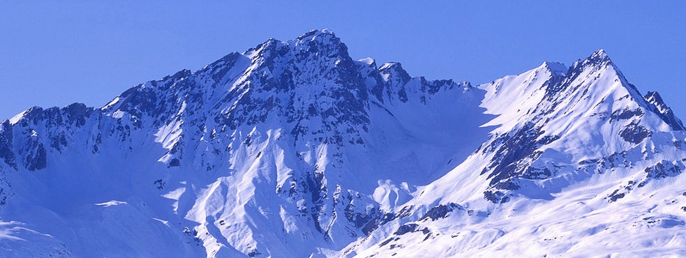 株式会社ニナファームジャポンのプレスリリース｜PR TIMES