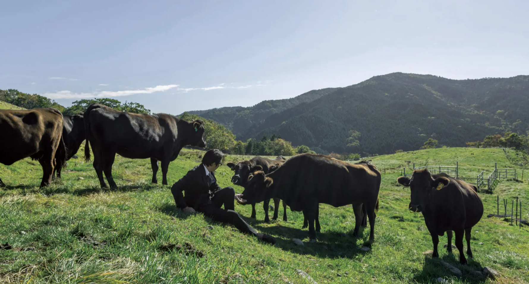 焼肉 旬やさい ファンボギのプレスリリース Pr Times 焼肉 旬やさい ファンボギのプレスリリース Pr Times