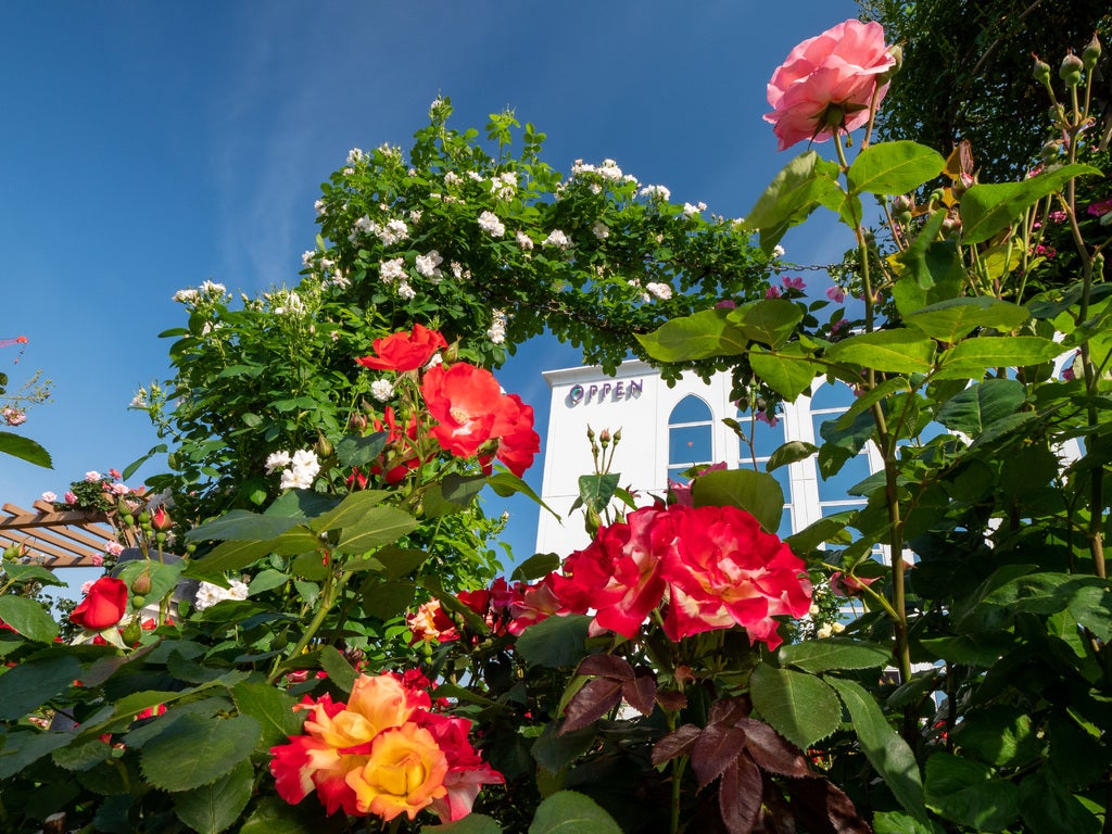 オッペン創立70周年記念「アルティメイト」をリニューアル9月18日