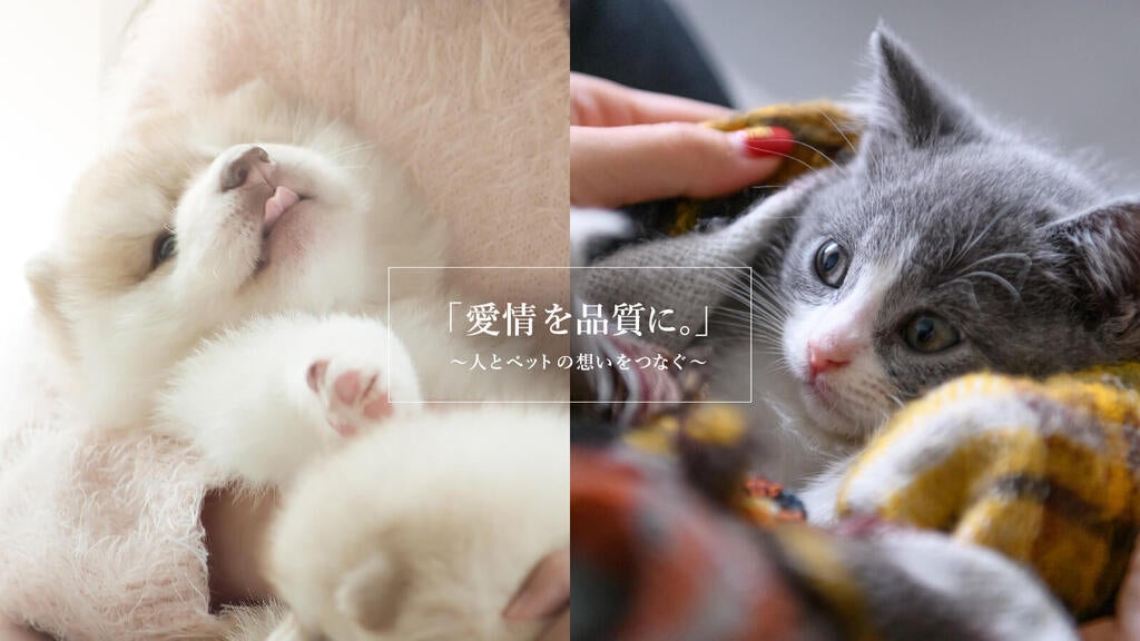 国産療法食「ドクターズケア」ウェットタイプに「犬猫用 エナジー