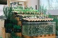 県庁の屋上で、魚が野菜を育てる？神奈川県庁東庁舎11階テラスに共生型コミュニティ農園「ともいきファーム」が2026年8月に誕生