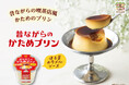卵感アップ！さらにおいしくなりました。 「昔ながらのかためプリン」2026年3月23日（月）より 全国で発売