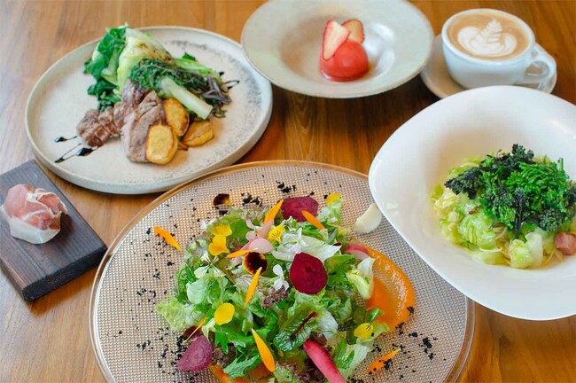 奥田政行氏監修によるイタリアンコース料理 奥田政行氏監修によるイタリアンコース料理