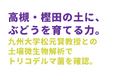 ノウタス、高槻・樫田で「トリコデルマ菌」を活用したぶどう苗木の植え付け実証を開始