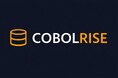 実践型育成サービス 「COBOLRISE（コボライズ）」を開始