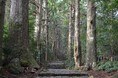 世界遺産・熊野古道で「距離ゼロ合宿」を実施