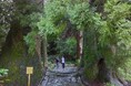 世界遺産・熊野古道で「距離ゼロ合宿」を実施