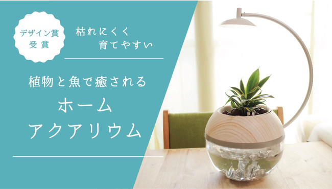 海外の展示会でデザイン賞を受賞 植物と魚を手間が少なく同時に育成できるハイブリッドアクアリウムが日本に上陸しました シルフィード インターナショナルのプレスリリース