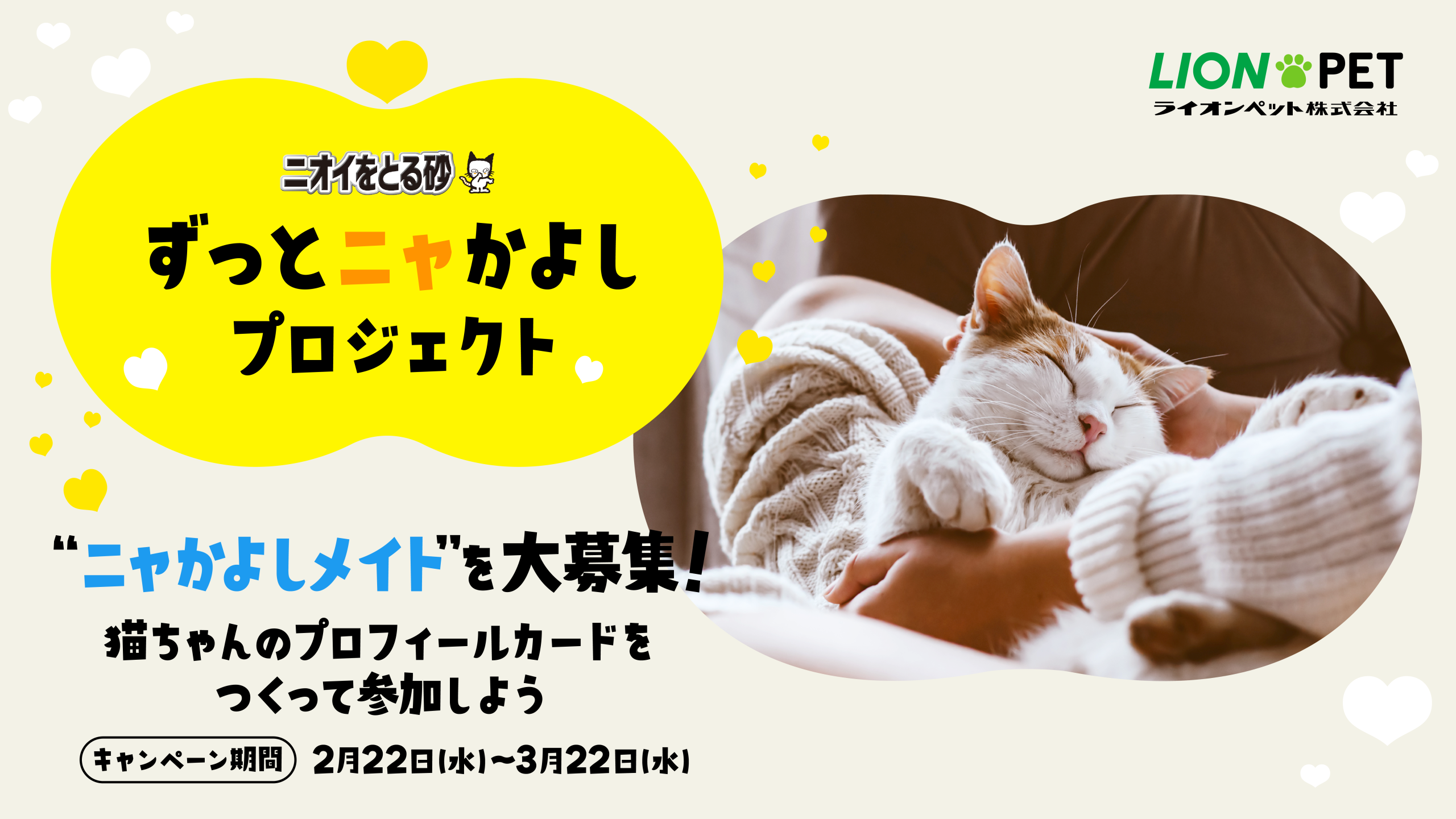 独自調査をきっかけに、理想と現実のギャップを埋めて“なかよしの関係