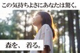 捨てられた間伐材を全国から集めて服に変える『木糸Tシャツ』、クラウドファンディング開始|株式会社phoneme (フォーニーム)