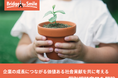 虐待等で親を頼れない子どもたちの未来を応援する認定NPOブリッジフォースマイルが、企業の成長につながる価値ある社会貢献を、企業のCSR担当と共に考える個別相談窓口を開設
