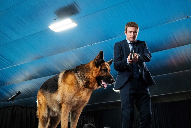 「ハドソン&レックス〜セントジョンズ警察シェパード犬刑事(シーズン3)」 Photo by Jessie Brinkman Evans for Shaftesbury and Pope Productions (C) Shaftesbury/Pope Prod 「ハドソン&レックス〜セントジョンズ警察シェパード犬刑事(シーズン3)」 Photo by Jessie Brinkman Evans for Shaftesbury and Pope Productions (C) Shaftesbury/Pope Prod