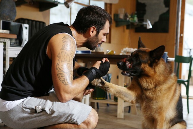 「マルコ&レックス〜ローマ警察シェパード犬刑事」 (C) DOG’S LIFE SRL 2013 「マルコ&レックス〜ローマ警察シェパード犬刑事」 (C) DOG’S LIFE SRL 2013