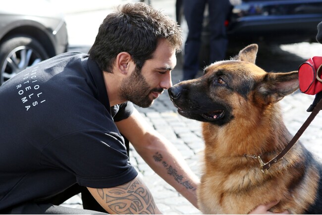 「マルコ&レックス〜ローマ警察シェパード犬刑事」 (C) DOG’S LIFE SRL 2013 「マルコ&レックス〜ローマ警察シェパード犬刑事」 (C) DOG’S LIFE SRL 2013