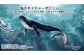 【7/25】シンポジウム開催のご案内 海のネイチャーポジティブ:海洋関連ビジネスにおける気候・自然ネクサス戦略を考える